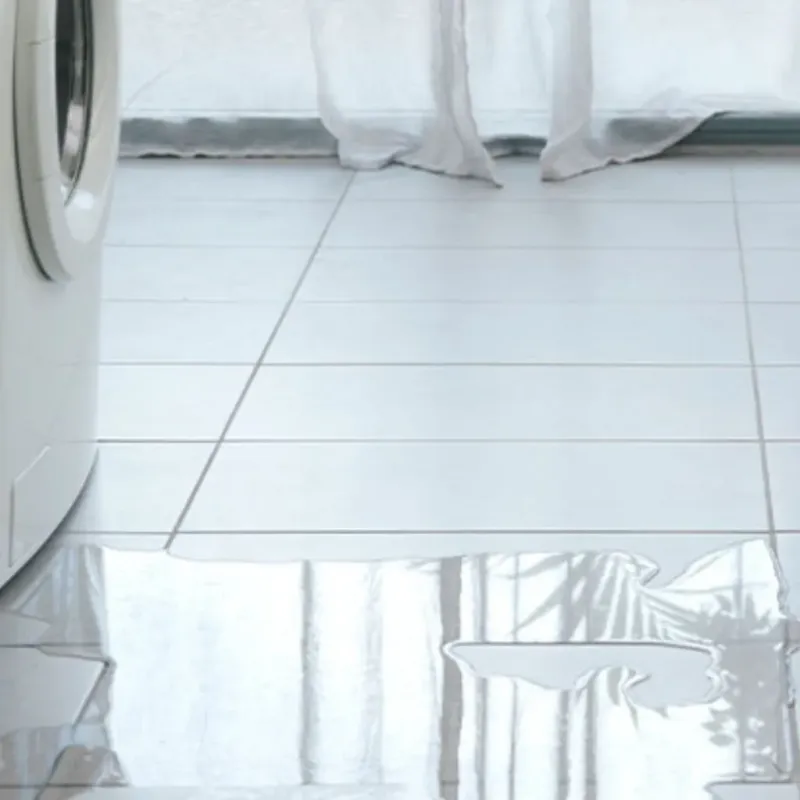 Appliance Leak Cleanup in Newton, GA